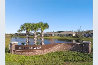 22141 Storybook Cabin Way, Land O Lakes, FL 34637 - Photo 41