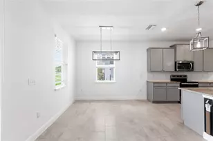 33034 Sand Creek Dr, Wesley Chapel, FL 33543 - Photo 13