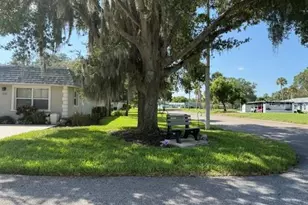 3444 Trophy Blvd, New Port Richey, FL 34655 - Photo 13