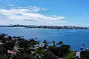 408 Princess St, Clearwater, FL 33755 - Photo 69