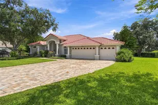 6901 Aqueduct Terrace, Odessa, FL 33556 - Photo 11
