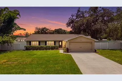23252 Charlston Place, Land O Lakes, FL 34639 - Photo 1