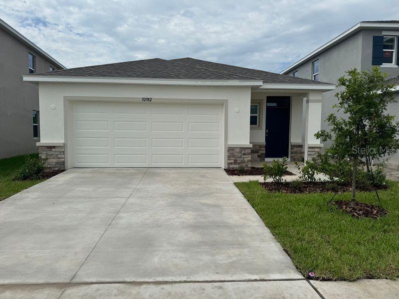 32382 Weathered Oak - 32382 Weathered Oak, Wesley Chapel, FL 33543 Luxury Property | Jose Angel Pina