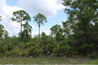 1830 Oleaster Avenue, Sebring, FL 33875 - Photo 3
