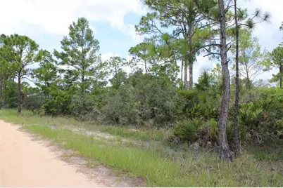 1830 Oleaster Avenue, Sebring, FL 33875 - Photo 3