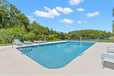 216 Hemingway Drive, Oldsmar, FL 34677 - Photo 41