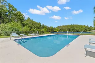 216 Hemingway Dr, Oldsmar, FL 34677 - Photo 41