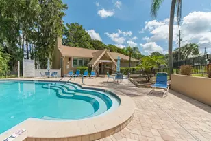 3253 McMath Dr, Palm Harbor, FL 34684 - Photo 37
