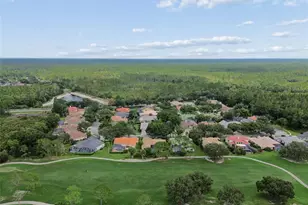 17714 Grey Eagle Rd, Tampa, FL 33647 - Photo 63