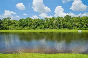 1737 Virginia Willow Dr, Wesley Chapel, FL 33544 - Photo 57
