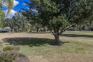 12518 Lake Jovita Blvd, Dade City, FL 33525 - Photo 75