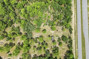 8279 Sunshine Grove Rd, Brooksville, FL 34613 - Photo 37
