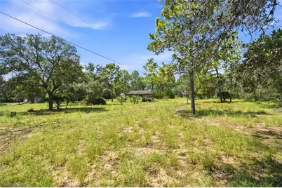 8279 Sunshine Grove Road, Brooksville, FL 34613 - Photo 5