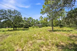8279 Sunshine Grove Rd, Brooksville, FL 34613 - Photo 5