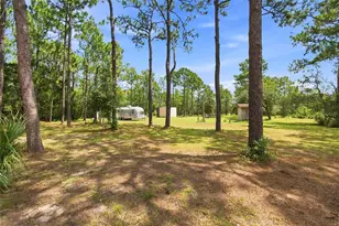 8279 Sunshine Grove Rd, Brooksville, FL 34613 - Photo 17