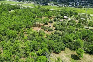 8279 Sunshine Grove Rd, Brooksville, FL 34613 - Photo 69