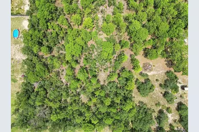 8279 Sunshine Grove Road, Brooksville, FL 34613 - Photo 47