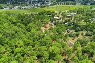 8279 Sunshine Grove Rd, Brooksville, FL 34613 - Photo 67