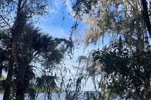 17630 NE 246th Pl, Fort Mc Coy, FL 32134 - Photo 45
