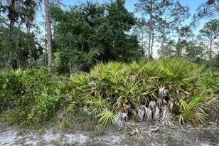13352 Rodin Dr, Punta Gorda, FL 33955 - Photo 1