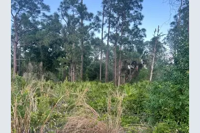 13352 Rodin Drive, Punta Gorda, FL 33955 - Photo 3