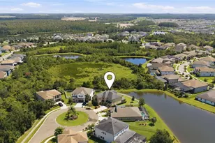 7292 Bay Laurel Ct, Wesley Chapel, FL 33545 - Photo 61