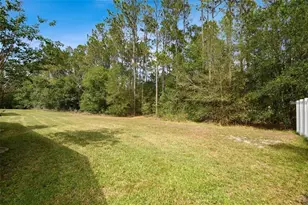 7346 Crescent Palm Dr, Wesley Chapel, FL 33545 - Photo 33