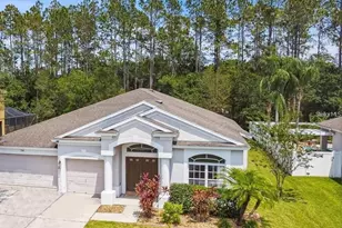 7346 Crescent Palm Dr, Wesley Chapel, FL 33545 - Photo 3