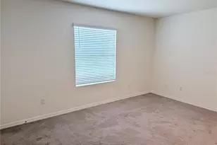 1387 Colt Creek Pl, Wesley Chapel, FL 33543 - Photo 13