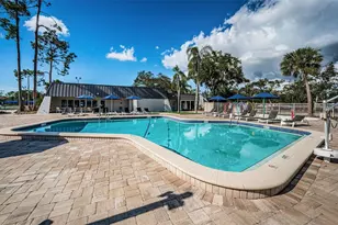 550 Palmdale Dr, Oldsmar, FL 34677 - Photo 43