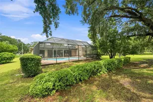 550 Palmdale Dr, Oldsmar, FL 34677 - Photo 29