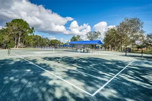 550 Palmdale Dr, Oldsmar, FL 34677 - Photo 45
