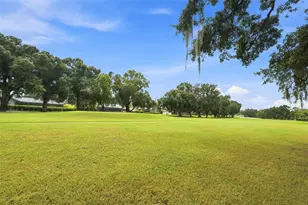 550 Palmdale Dr, Oldsmar, FL 34677 - Photo 31