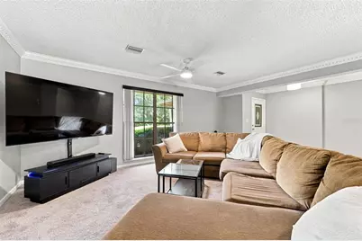 550 Palmdale Drive, Oldsmar, FL 34677 - Photo 5