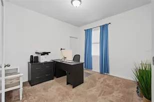 33067 Windelstraw Dr, Wesley Chapel, FL 33545 - Photo 23