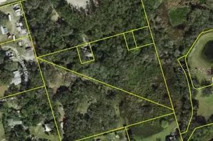 8120 Marchant Dr, New Port Richey, FL 34653 - Photo 3