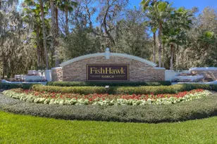 6105 Gannetside Pl, Lithia, FL 33547 - Photo 27