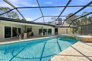 3126 Edgemoor Dr, Palm Harbor, FL 34685 - Photo 33