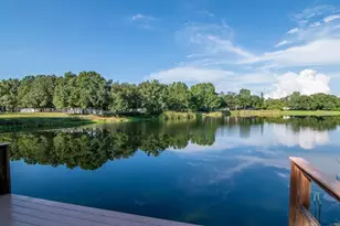 15906 McGlamery Rd, Odessa, FL 33556 - Photo 45