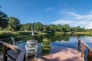 15906 McGlamery Rd, Odessa, FL 33556 - Photo 43