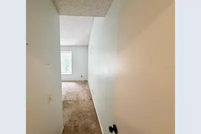 11838 Branch Mooring Drive, Tampa, FL 33635 - Photo 27