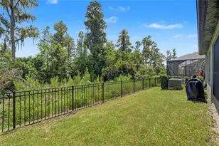 19539 Roseate Dr, Lutz, FL 33558 - Photo 35