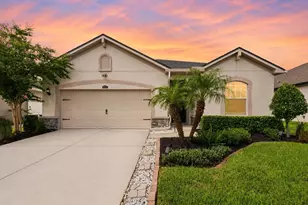 12943 Satin Lily Dr, Riverview, FL 33579 - Photo 1