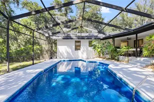 76 Bay Woods Dr, Safety Harbor, FL 34695 - Photo 39