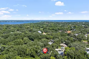 76 Bay Woods Dr, Safety Harbor, FL 34695 - Photo 45