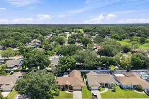 2244 Groveland Dr, Lutz, FL 33549 - Photo 61