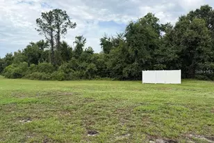 11905 Castine St, New Port Richey, FL 34654 - Photo 7