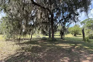 24605 and 24645 NE 177th Terrace, Fort Mc Coy, FL 32134 - Photo 77