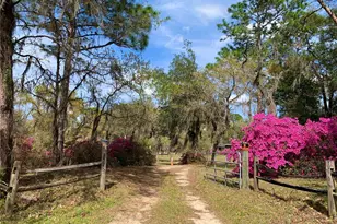 24605 and 24645 NE 177th Terrace, Fort Mc Coy, FL 32134 - Photo 5