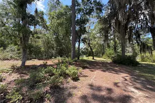 24605 and 24645 NE 177th Terrace, Fort Mc Coy, FL 32134 - Photo 81